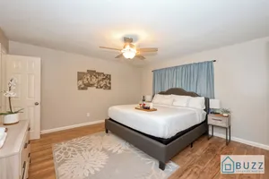 Image of Costa Fortune: Spring Branch 3BR | 2 King Beds | Covered Patio & Workspace