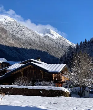 Image of Le Petit Chalet de Montriond