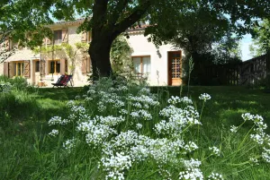 Image of Drome Provencale house