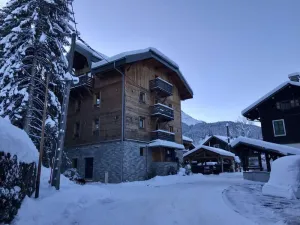 Image of 2nd floor, balcony, fireplace or stove, ski locker, 185m², Morzine