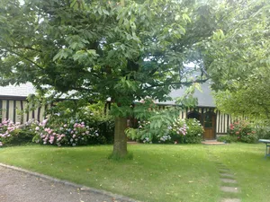 Image of Longère en Pays de Caux the discreet charm of Normandy
