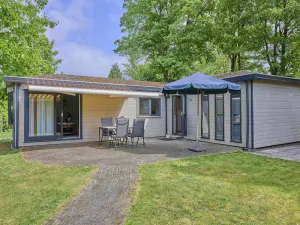 Image of De Veluwse houtduif