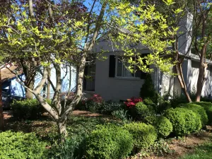 Image of Beautiful house in a historic Maywood, located in DC\/N-VA,  accommodate 6 guests