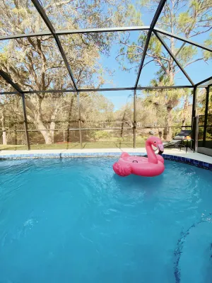 Image of Sunny Paradise