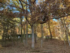 Image of frontier lodge- Rustic lodge in a serene Timberland