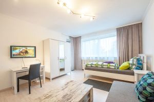 Image of Newly furnished 2 room apartment centrally
