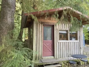 Image of Rustic Cabin Room near Rialto Beach & Hoh Rainforest