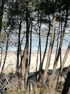 Image of Vacation home Ronce les Bains (6 people) Private parking - garden-terrace