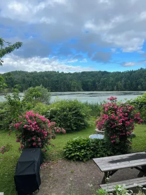 Image of Wildlife Lakeside Cottage