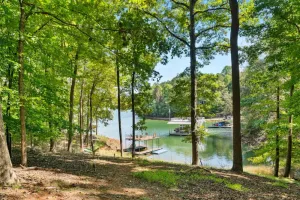 Image of Waterfront 2 bedroom cabin with indoor fireplace and private dock