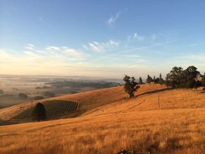 Image of Belrose Estate by Tiny Away