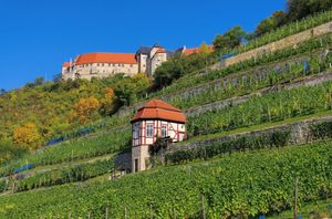 Image of FEWO with large garden