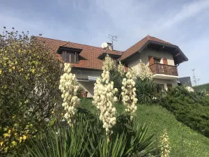Image of Villa BelleVue, near Lac Annecy + ski regions, new kitchen, 4 bedrooms: 8 per.,Sauna