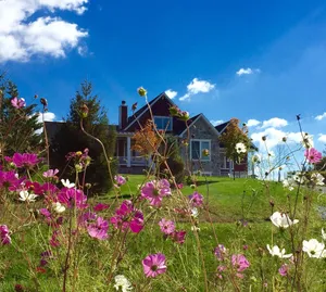 Image of Kiwi Berry Farmette, Gardens, Seasonal Pool & Guest Suite at Wild Juniper Farm!