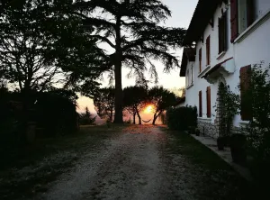 Image of Charming cottage in an exceptional setting