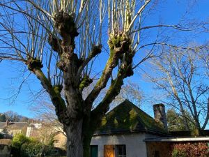 Image of Grande Maison en Bord de l'Eau avec Jardin - 6 Chambres, Proche Commerces - FR-1-410-442