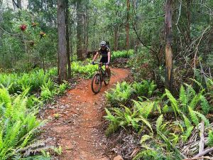 Image of Comfort and Convenience for Families and Groups on the Blue Derby MTB Trails