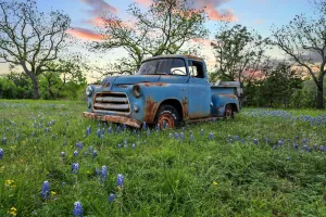 Image of Blue Truck Ranch-6 Acres 3 Cottages FIRE PIT!