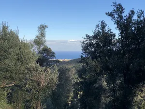 Image of Apartment in the heart of nature with breathtaking views