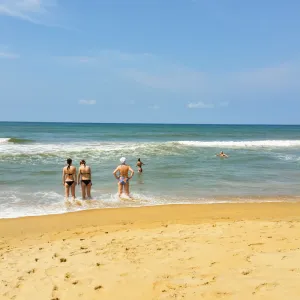 Image of Dhammika Beach Palace