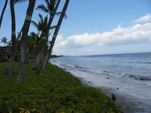 Image of PUAMANA 2 BR PREMIER UNIT 200 Ft. from Ocean 153-6