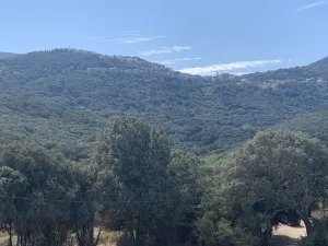 Image of Apartment in the heart of nature