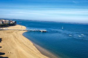 Image of ON THE BASIN OF ARCACHON SMALL PAVILION INDEPENDENT OF ALL COMFORT