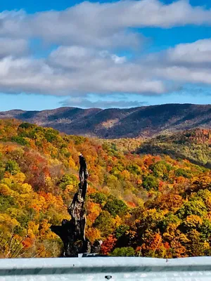 Image of 58 Acre home in the middle of 23,00 acre State Park