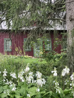 Image of Scandinavian Timber-frame Cottage with Hiking Trails in Decorah