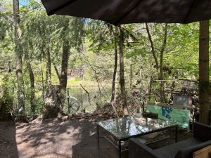 Image of Bungalow 'im Wald am See - Biberspur' with Lake View & Garden