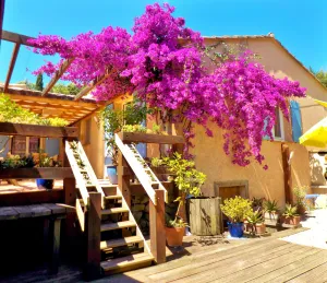 Image of AIR-CONDITIONED, SINGLE-STOREY VILLA, SEA AND CORSICAN VIEWS LARGE GARDEN, DOGS ALLOWED