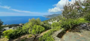 Image of Pleasant family home in Pino
