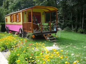 Image of Miss Bohemia