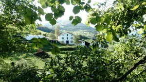 Image of Appartement Neuf à la Ferme à Uhart Cize à 4km de St Jean Pied de Port