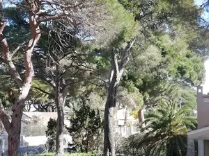 Image of Charmant Studio à Hyères, Proche Plage et Port, Parking et WIFI Inclus - FR-1-335-200
