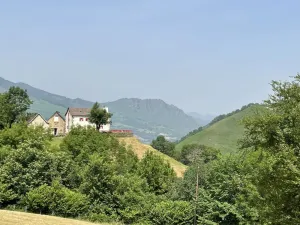 Image of Behiagoitia