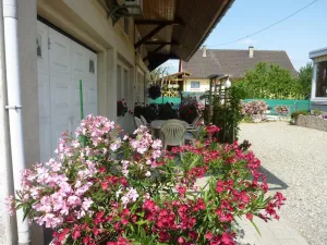Image of Beautiful Country Home with Terrace, Close to Amenities & Highways, Sleeps 5 + Baby