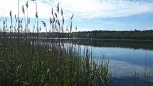 Image of Bungalow on the lake in the nature reserve near Usedom