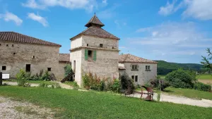 Image of Character house 12 people