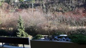Image of Apartment Appartement 112