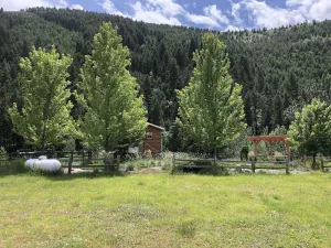 Image of Cozy cabin with a country feel, but minutes away from Missoula!