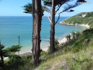 Image of Bord de mer