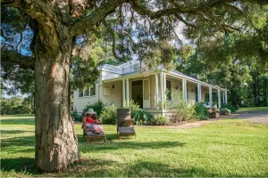Image of Lillians on Lovedale