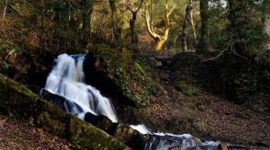 Image of Country house on the edge of the Brocéliande forest