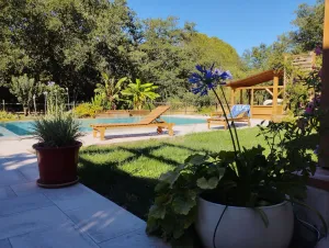 Image of Large Pool under oaks