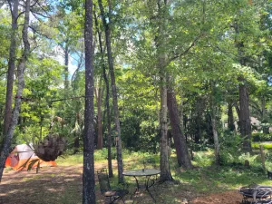 Image of 4.5 MILES TO MACRAES BOAT RAMP!! Spacious with plenty of room for boats or RVs.