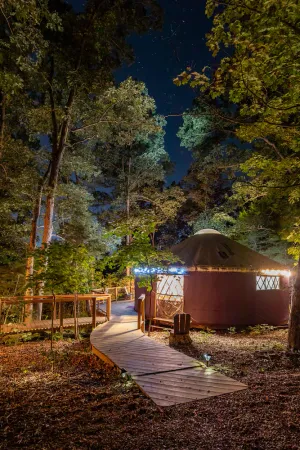 Image of Yurt Floating in the Forest