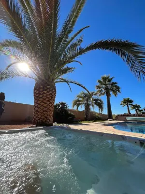 Image of Gîte les palmiers