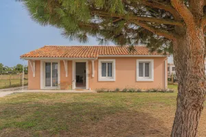 Image of Le Pin Franc