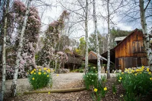 Image of A bespoke romantic retreat in the heart of the high country, breakfast included.
